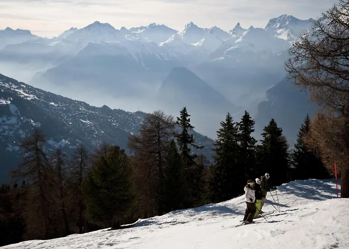 Remointze B 030 - Center 4 Pers 维松纳